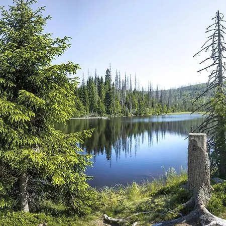 Natur- & Wellnesshotel Brunner Hof 4*
